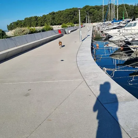 Rosemary 아파트 *