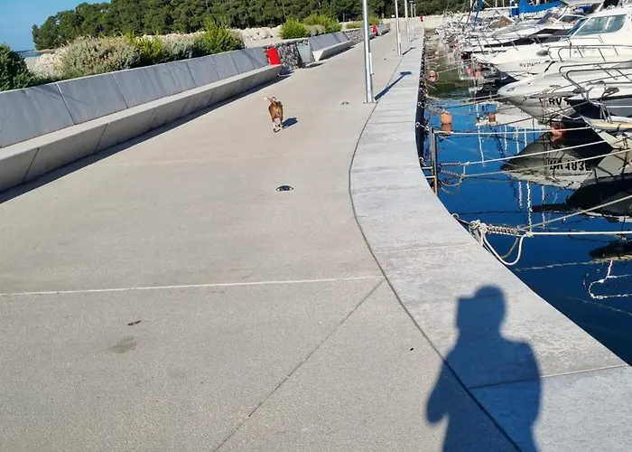 Rosemary 아파트 *