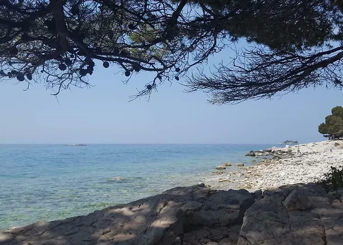 Rosemary Apartament *